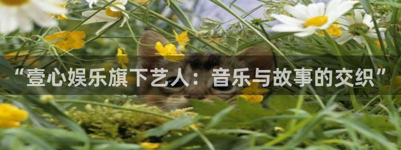 jdb电子集团：“壹心娱乐旗下艺人：音乐与故事的交织”