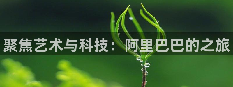 jdb电子体育注册平台：聚焦艺术与科技：阿里巴巴的之旅