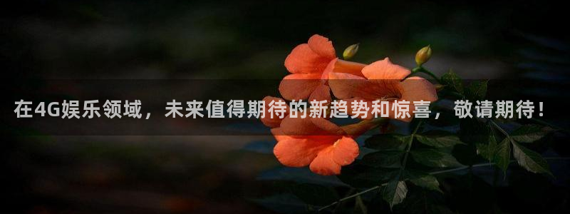 jdb电子体育论坛：在4G娱乐领域，未来值得期待的新趋势和惊喜，敬请期待！