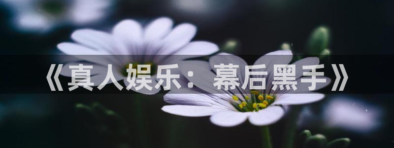 jdb电子4平台注册：《真人娱乐：幕后黑手》