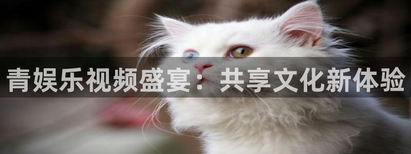 jdb电子平台在线注册：青娱乐视频盛宴：共享文化新体验