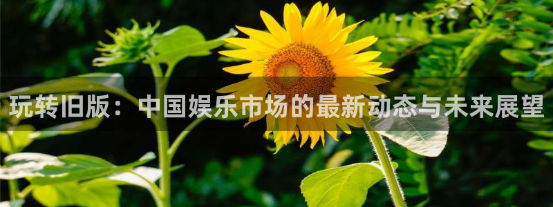 jdb电子f凯捷注册：玩转旧版：中国娱乐市场的最新动态与未来展望