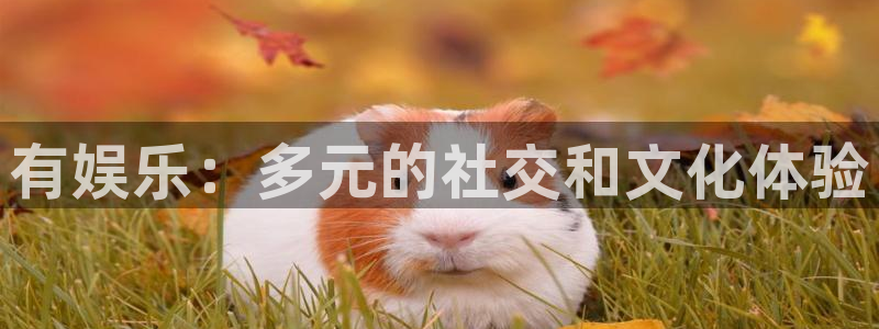 jdb电子2平台注册：有娱乐：多元的社交和文化体验