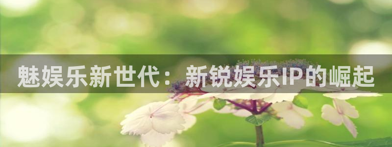 jdb电子体育代理：魅娱乐新世代：新锐娱乐IP的崛起