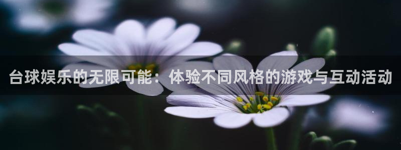 jdb电子3平台注册：台球娱乐的无限可能：体验不同风格的游戏与互动活动