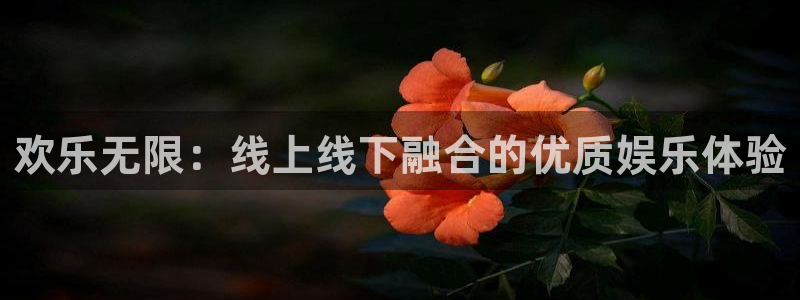 东莞市jdb电子电子科技有限公司：欢乐无限：线上线下融合的优质娱乐体验