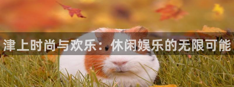 jdb电子现在优惠多少：津上时尚与欢乐：休闲娱乐的无限可能
