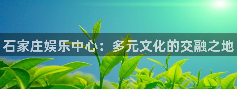 jdb电子体育2官网入口：石家庄娱乐中心：多元文化的交融之地