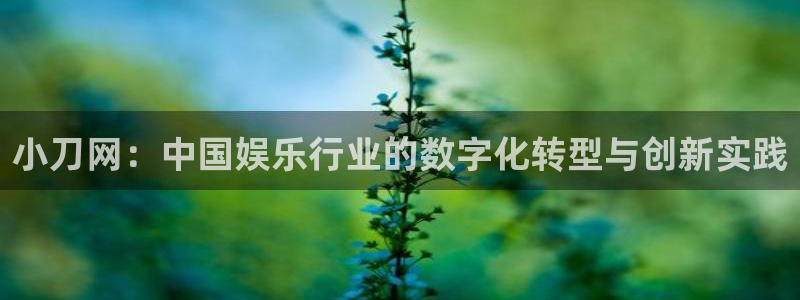 jdb电子体育凯捷平台招商：小刀网：中国娱乐行业的数字化转型与创新实践