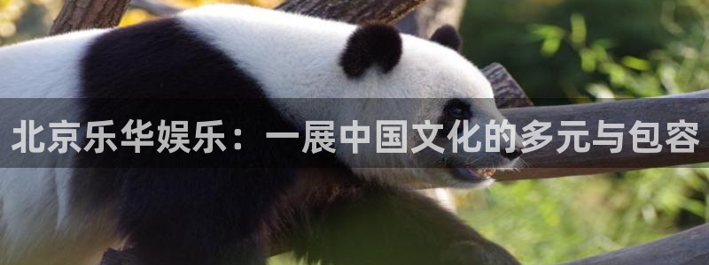 jdb电子体育官网注册：北京乐华娱乐：一展中国文化的多元与包容