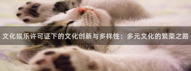 jdb电子体育注册：文化娱乐许可证下的文化创新与多样性：多元文化的繁荣之路
