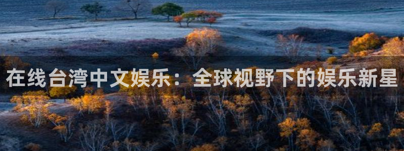 jdb电子体育4：在线台湾中文娱乐：全球视野下的娱乐新星